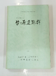 岩ヶ原遺跡群　1981