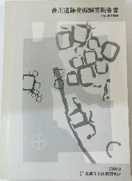 曲川遺跡発掘調査報告書　２００４