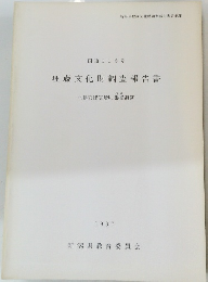 国道116号 埋蔵文化財調査報告書