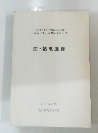 庄・鮎喰遺跡 昭和59年度 (1985)