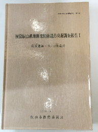国営飯山農地開発関係遺跡発掘調査報告Ⅰ　1991/3