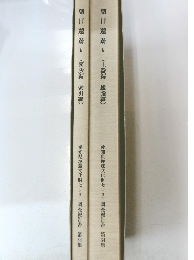 朝日遺跡V　(土器編・総論編)