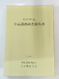 中島遺跡調査報告書　1995