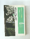 教行信証入門　正信偈　下