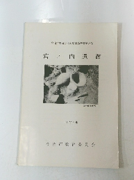 宮ノ内遺跡 1976年