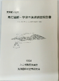 鳥打遺跡・宇津木遺跡調査報告書　1994年