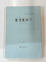 唐原遺跡II　1989年