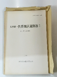 太宰府・佐野地区遺跡群 I