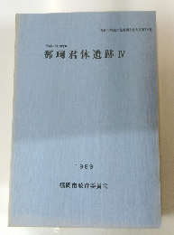 那珂君休遺跡IV　1989年