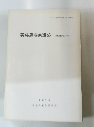 裏慈恩寺東遺跡　1978年