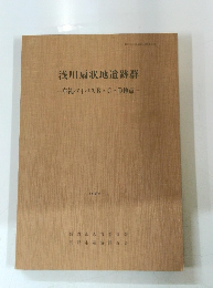 浅川扇状地遺跡群 一牟礼バイパスB・C・D地点一 1986 3