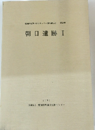 朝日遺跡　I　1991