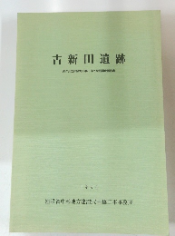 古新田遺跡　１９９４年