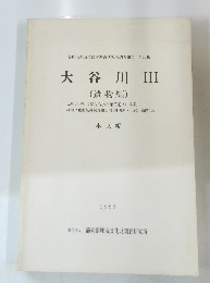 大谷川 III　1988