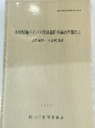 小沼湯滝バイパス関係遺跡発掘調査報告II