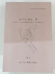 岩井口遺跡Ⅱ　1995年3月号