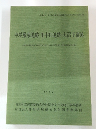 中屋敷東遺跡・田中田遺跡・大沼下遺跡　2007