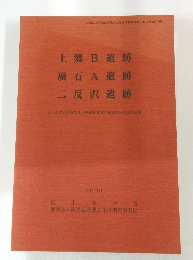上郷B遺跡廣石A遺跡二反沢遺跡