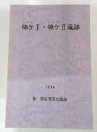 神ケ1・神ケ　2　遺跡　1994年