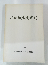 川田藤蔵遺跡　１９９３年