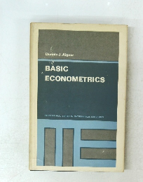 BASIC ECONOMETRICS