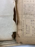 勝利の記録 : マーシャル元帥報告書