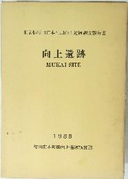 向上遺跡 MUKAI SITE 1988