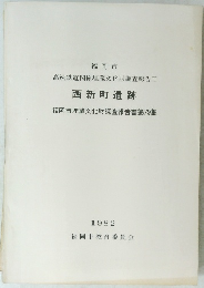 西新町遺跡　福岡市埋蔵文化財調査報告書第79集
