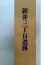 新井三丁目遺跡