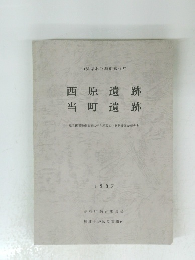 西原遺跡 当町遺跡