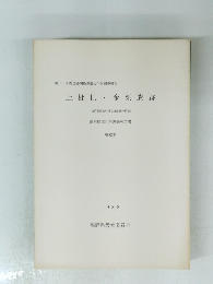 上枇杷金栗遺跡 1988　