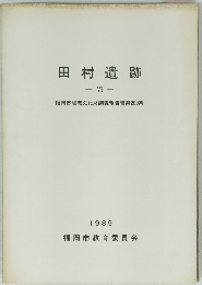 田村遺跡 - VI - 1989