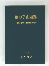 亀の子山遺跡　1986年　