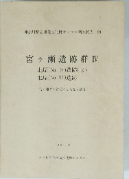 宮ヶ瀬遺跡群　IV