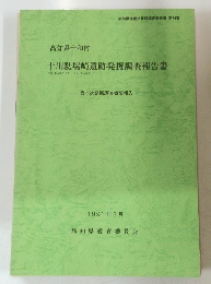 十川駄場崎遺跡発掘調査報告書