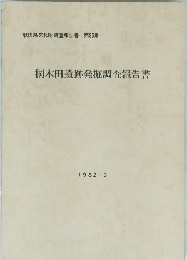 桐木田遺跡発掘調査報告書　1982年3月号