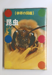 学研の図鑑昆虫 