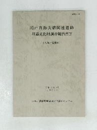 瀬戸内海大橋関連遺跡　埋蔵文化財調査報告書4