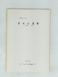 出来山遺跡　1985