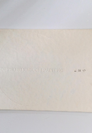USUMU　SAKAGUCHI　PAINTING　