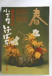 小さなばふ　春