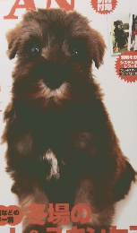 ドッグファン　2004年2月