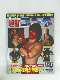 週刊　ゴング　1989年12月７日号　No.285