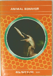 ANIMAL　BEHAVIOR