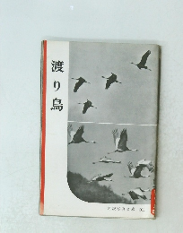 岩波写真文庫 203　渡り鳥