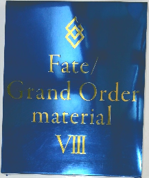 Fate/ Grand Order material VIII