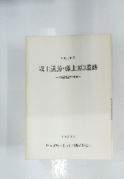 坂上遺跡・藤上原3遺跡 一発掘調査報告書一