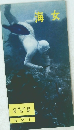 海女　
