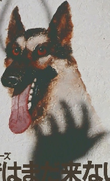 EQ　NO.24　1981年11月号