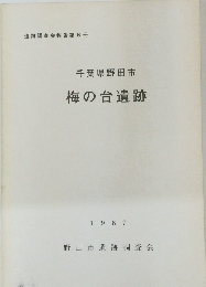 千葉県野田市梅の台遺跡